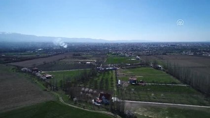 Geleceğin "Şampiyon Tayları" Burada Yetişiyor