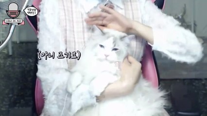 (김제출장마사지) ##T 100%후불-【 Ø1Ø↔6648↔8529카톡SBS88】김제출장안마, 김제출장안마후기, 김제출장안마'만족τ김제출장안마'만족도1위 20대여대생의 최상위 서비스