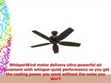 Hunter Fan 52 inch Ceiling Fan in Premier Bronze with 5 Dark Walnut Reversible Blades