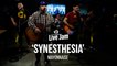 'Synesthesia' – Mayonnaise