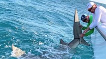 Un ex-golfeur pêche un énorme requin qui venait d’en avaler un autre !