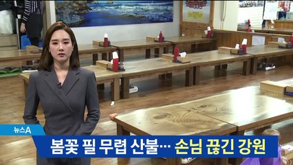 봄꽃 필 무렵 산불…상인들은 손님 끊겨 한숨만