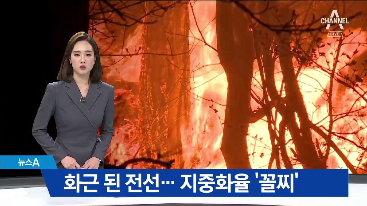 산불 화근 된 전선…강원도 전선 지중화율 ‘꼴찌’