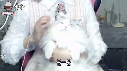 (도봉출장마사지) ##N 100%후불-【 Ø1Ø↔6648↔8529카톡SBS88】도봉출장안마, 도봉출장안마후기, 도봉출장안마'만족τ도봉출장안마'만족도1위 20대여대생의 최상위 서비스