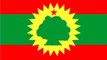 The army of the Oromo Liberation Front (OLF) Officially Separated From the Party OLF in Addis Ababa.