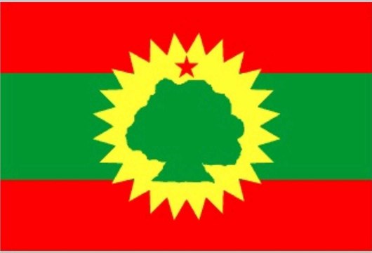 The army of the Oromo Liberation Front (OLF) Officially Separated From the Party OLF in Addis Ababa.