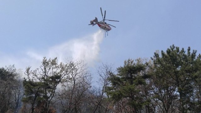 부산서 또 산불...임야 천7백㎡ 태워 / YTN