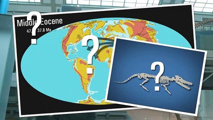 اكتشاف مذهل لحوت برمائي بأربعة أرجل بشبه الديناصور