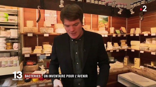 Alimentation : ces bactéries bénéfiques pour la santé