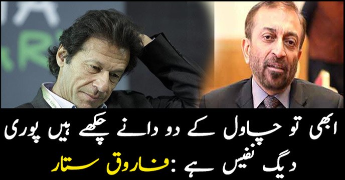 PM Imran only tasted two grains of rice, the whole cauldron of rice is exquisite: Farooq Sattar