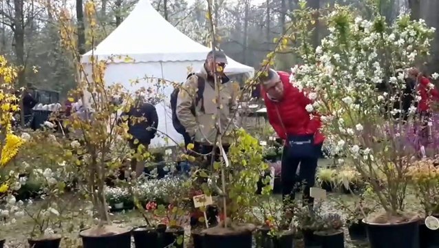 Mulhouse: le printemps des plantes au zoo