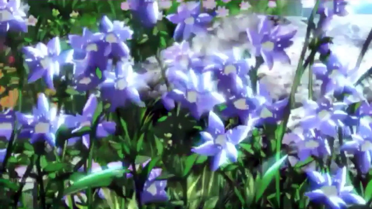 AMV - The Very Bad Trip