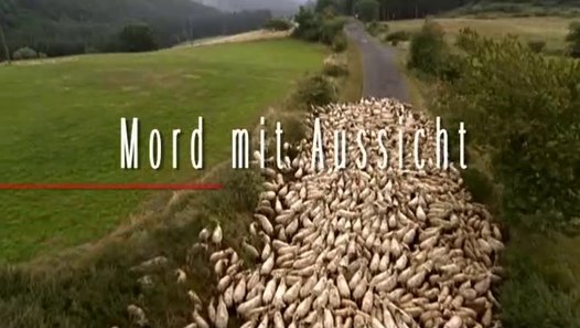 Mord Mit Aussicht Staffel 1 Folge 7