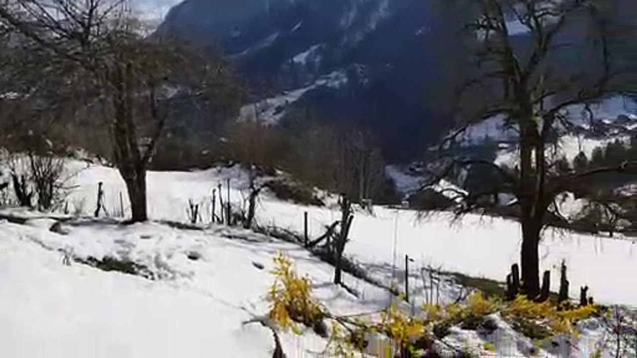 Au chalet enneigé