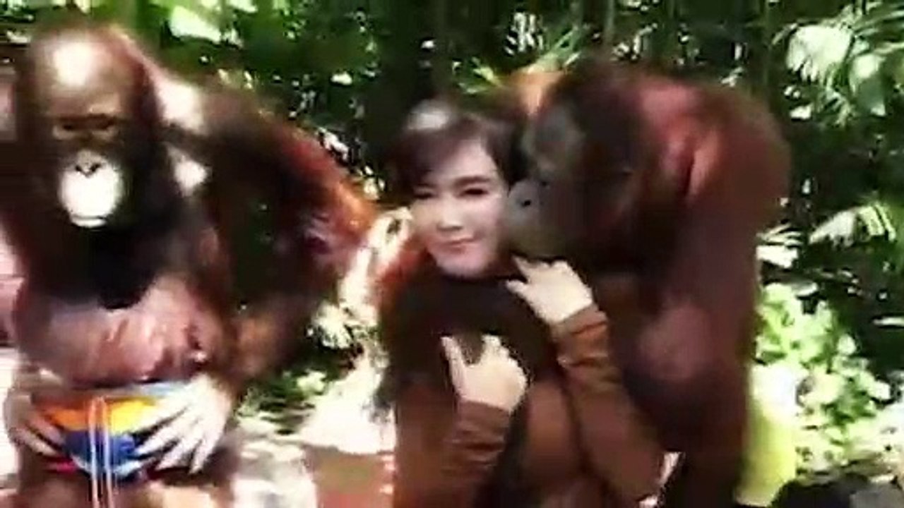 Schlechte Manieren: Affe greift Frau an den Busen