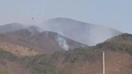 경북 영천 자양면 산불...2만㎡ 불타 / YTN