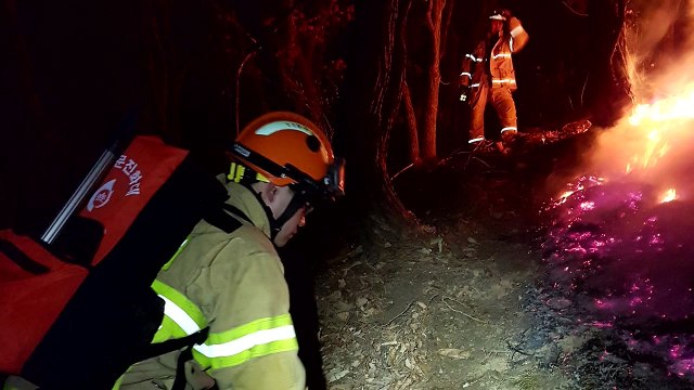대구 야산 화재 밤새 진화...아산 산불 재발화 / YTN