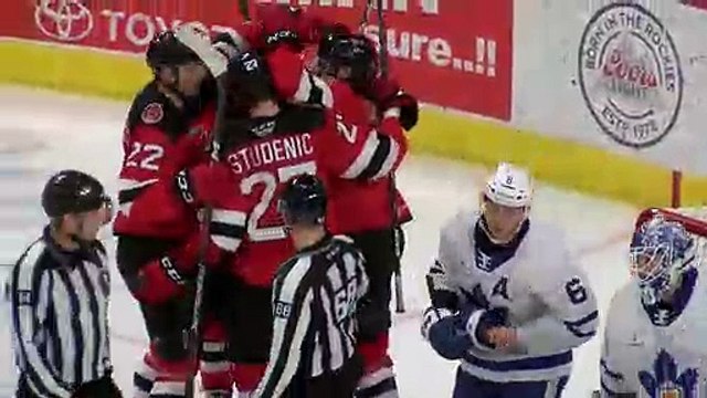 AHL Toronto Marlies 3 at Binghamton Devils 4 (OT)