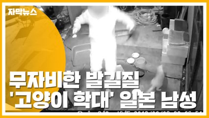 [자막뉴스] 무자비한 발길길...'고양이 학대' 일본 남성 / YTN