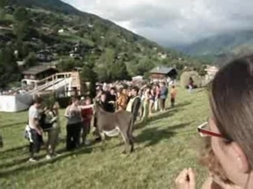 Le Tiercé d'Ânes de la Fête du Reblochon 2007