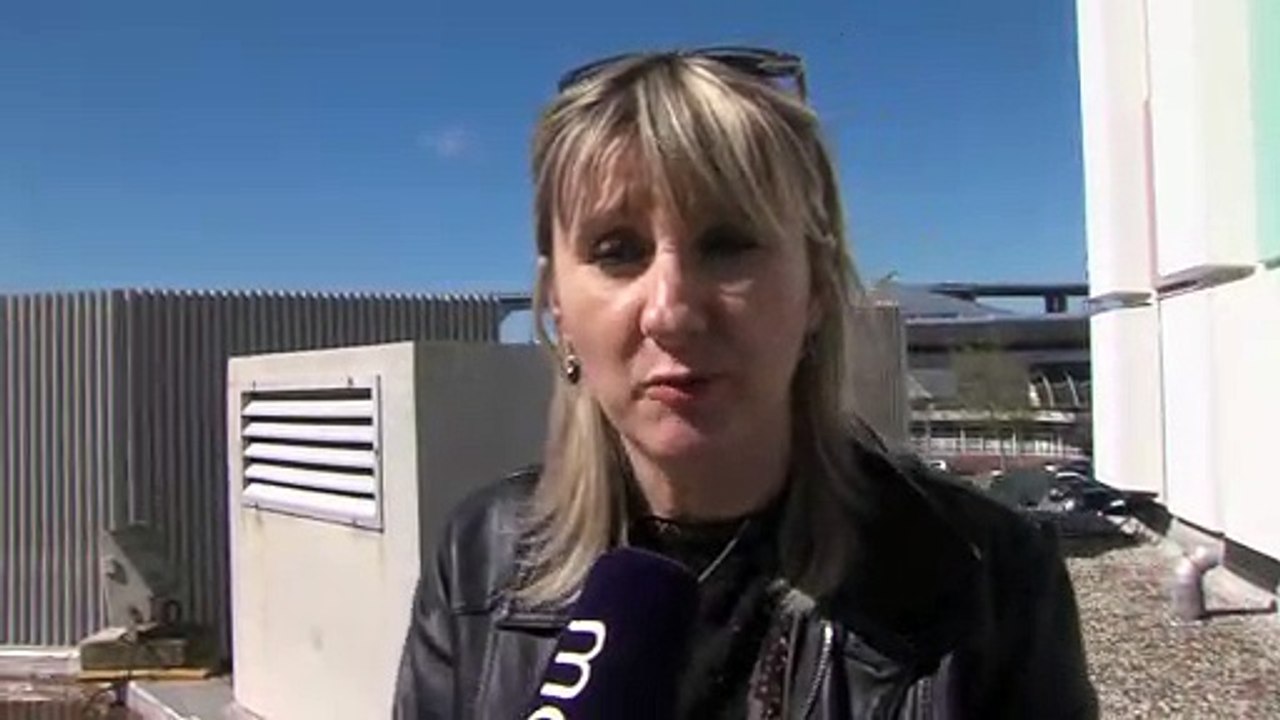 Des gestes simples sont indispensables pour en finir avec les attaques de gabians qui nidifient sur