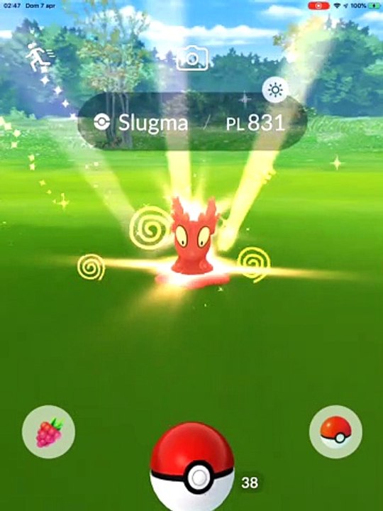 #slugma max cp 831 iv 100