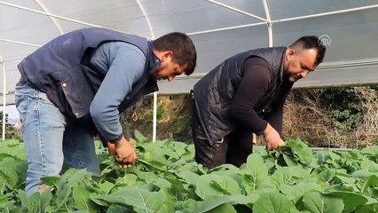 Aldığı destekle seralarını büyüttü - TEKİRDAĞ