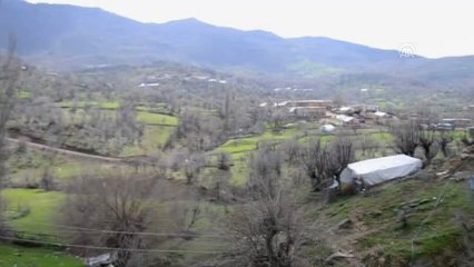 Bu Köyde Muhtarlık 45 Yıldır Sırayla El Değiştiriyor - Batman