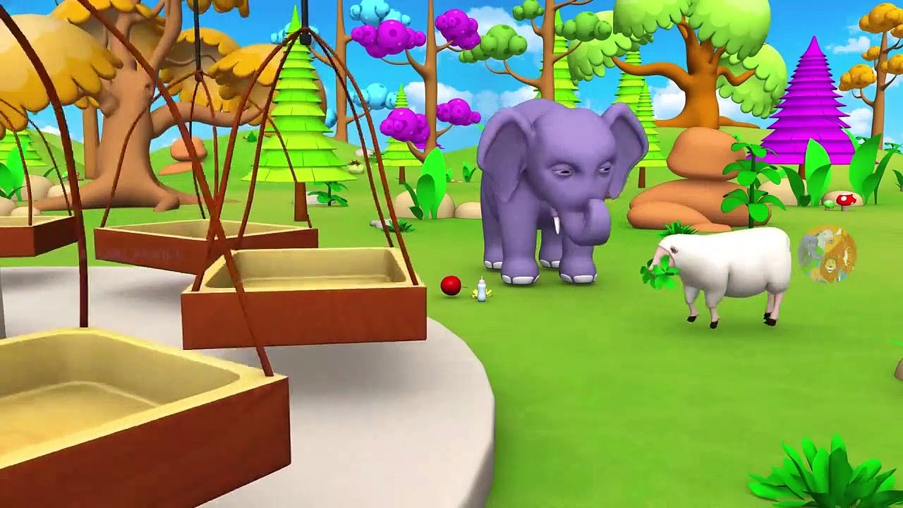 Parrot Nourrir les Animaux avec des Fruits pour Apprendre les Animaux de Zoo Noms et Sons des Animaux de la Forêt pour les Enfants | Peony Noakes