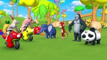 Les Animaux de Zoo de Course de Moto sur le Curseur de la Piste - Apprendre les Noms de Fruits pour les Enfants avec Grange Et Animaux de la Forêt | Peony Noakes
