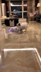 Kissing! Hey girl,you're my precious.