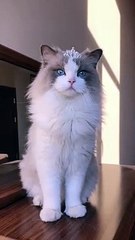 Pretty princess.So lovely and beautiful.