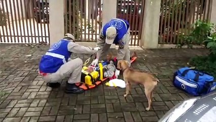 Mulher é socorrida após agressão