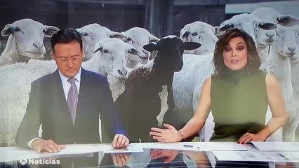 Matías Prats y las ovejas negras