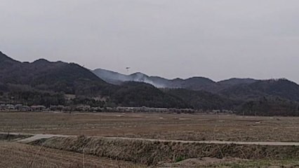 경북 예천군 야산 2ha 불타...성묘객 실화 / YTN