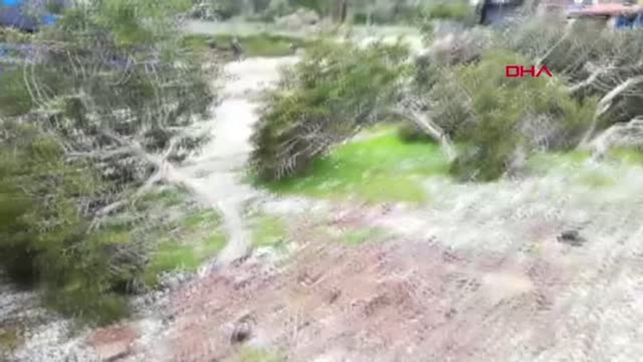 Muğla Dünyaca Ünlü Akbük Koyu'nda Ağaç Katliamı