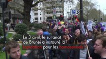 Lapidation à Brunei : une manifestation à Londres devant un hôtel