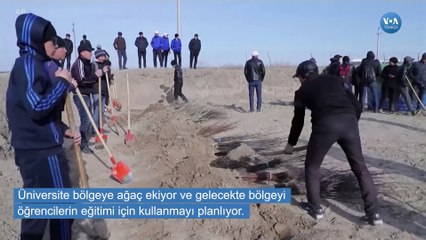 Kurumakta Olan Aral Gölü'nü Ağaçlandırma Çalışmaları