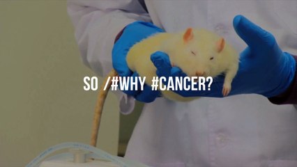 Why Cancer They Can but They Won't