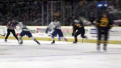 AHL Utica Comets 1 at Providence Bruins 3