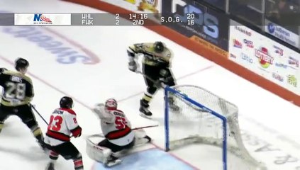 ECHL Wheeling Nailers 2 at Fort Wayne Komets 5