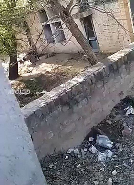 Merkels diplomierte Fachkräfte, hier der kurdischer Raketenwissenschaftler