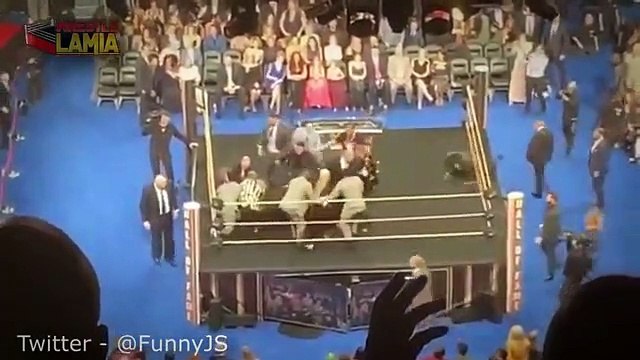 Crazy _Fan_ ATTACKS Bret Hart During WWE Hall of Fame 2019 Speech!