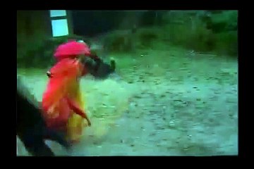 카지노딜러후기 https://www.nologo02.com【∥카지노사이트∥】