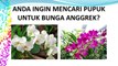 TERBAIK ..! HP/WA*082-220-228-118, Promo pupuk anggrek agar cepat berbunga Bone, harga  pupuk anggrek Bulukumba