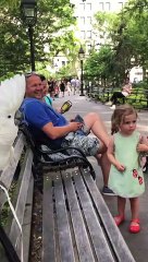 Cockatoo Barks at Passing Dog