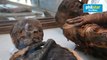 Mummified mice and more in latest Egyptian tomb discovery