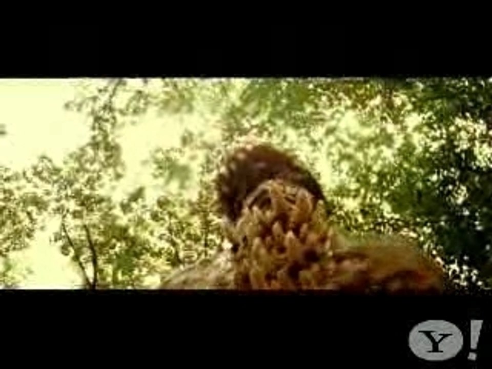 Animal Collective - Peacebone