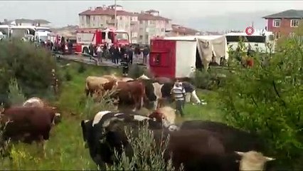Kocaeli TEM Otoyolunda 2 Tır Devrildi