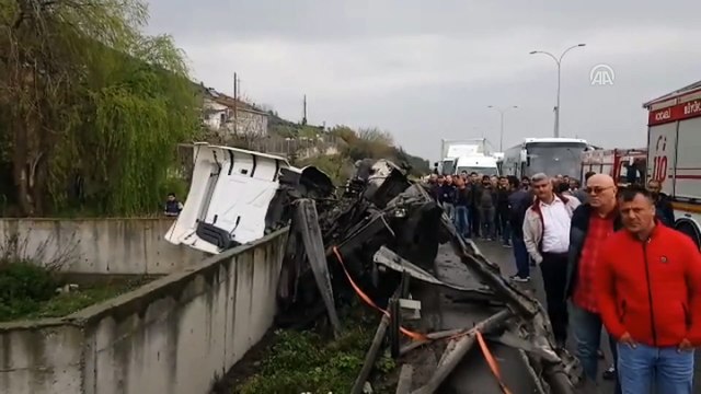 Büyükbaş hayvan yüklü tır devrildi - KOCAELİ